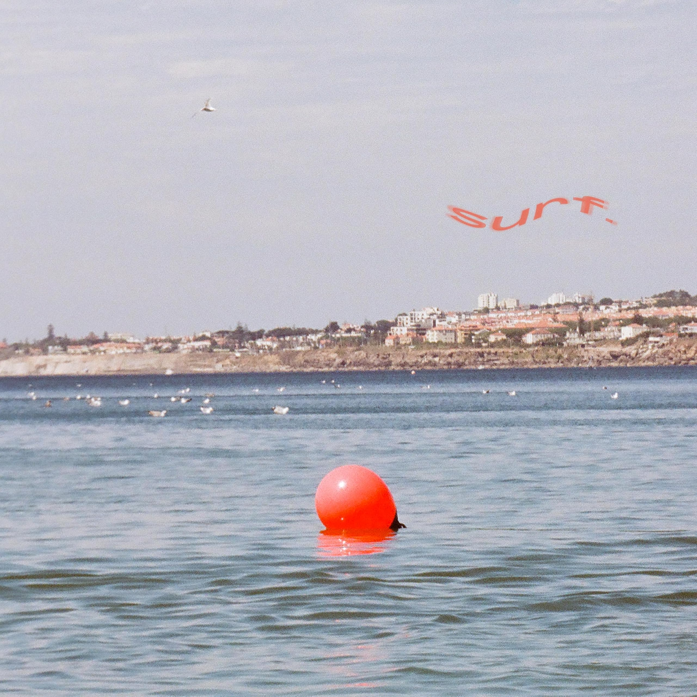 Image Cover